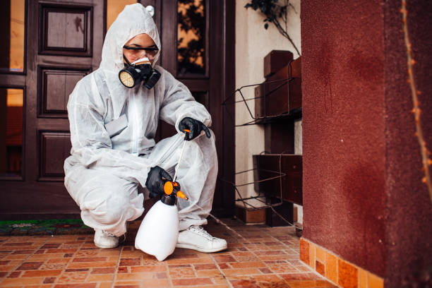 Reliable Wasp Removal contractor in Moorpark, CA by Show Me Pest Control
